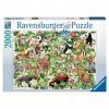 Ravensburger Selva