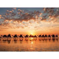 puzzle Atardecer Dorado en Cable Beach