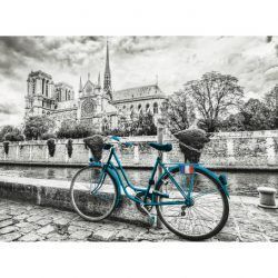 puzzle Bicicleta perto de Notre Dame
