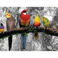 puzzle Pássaros na Selva
