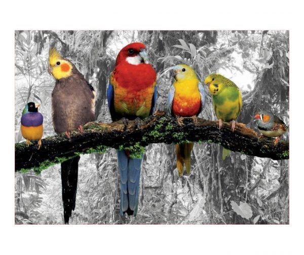 puzzle Pássaros na Selva