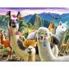 puzzle Trefl Lhamas nas montanhas